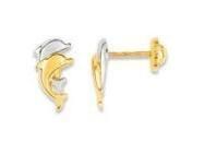 Boucles d'Oreilles Dauphin Bicolore Or 750 Fermoir Vissé - BK205B - Réf. BK205B